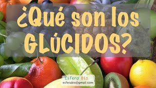 ¿QUÉ SON LOS GLÚCIDOS [upl. by Anahcar414]