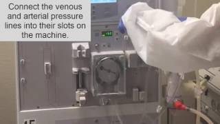 How to setup a dialysis Machine part II Hemodialysis Training [upl. by Seuqramed]