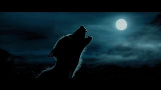 Werewolf sound effects HD [upl. by Mcnutt]