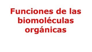 Funciones de las biomoléculas orgánicas [upl. by Lirpa979]