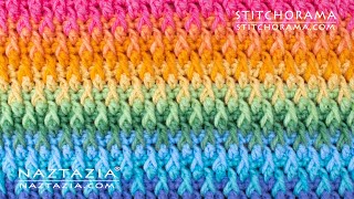 HOW to CROCHET ALPINE STITCH  Stitchorama by Naztazia [upl. by Eicnarf]