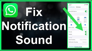 How To Fix WhatsApp Notification Sound EASY [upl. by Brunn721]