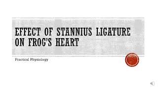 Experimental Physiology Effect of Stannius Ligature on Frogs Heart [upl. by Minta]