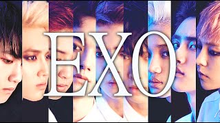 Introducing EXO  Member Profiles Voices Faces MV oudated [upl. by Assillim]