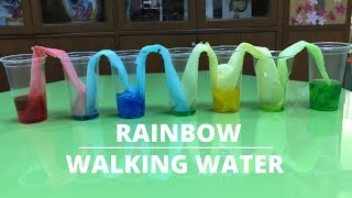 RAINBOW WALKING WATER  Walking Water Experiment  Capillary Action Explained [upl. by Millda]