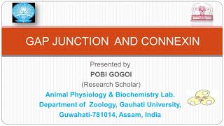 GAP JUNCTION AND CONNEXIN [upl. by Elbas]