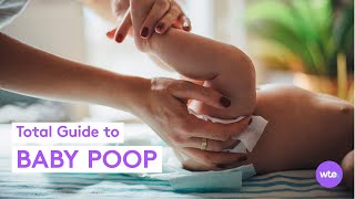 Is Your Babys Poop Normal What Parents Need to Know  What to Expect [upl. by Ynhoj]