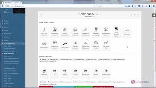 How to install and configure Bind DNS on Webmin [upl. by Elocen]
