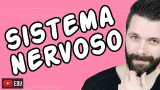 SISTEMA NERVOSO  FISIOLOGIA  Aula  Biologia com Samuel Cunha [upl. by Gwenore15]