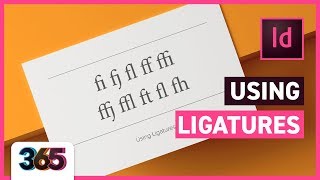 Ligatures  InDesign CC Tutorial 296365 [upl. by Nelehyram]