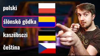 Silesian Dialect  Can Czech Kashubian and Polish understand it  1 [upl. by Aivatra]