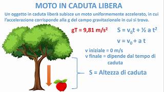 LA FISICA FACILE  Moto di un grave [upl. by Saraann898]