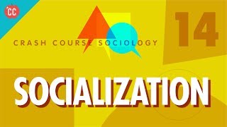 Socialization Crash Course Sociology 14 [upl. by Lednahs49]