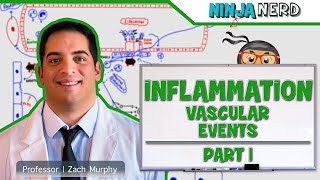 Immunology  Inflammation Vascular Events Part 1 [upl. by Orabelle]