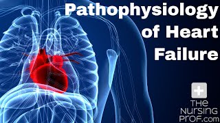 Pathophysiology of Heart Failure [upl. by Haskins]