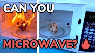 Can You Microwave Paper Does It Set On Fire [upl. by Zullo]