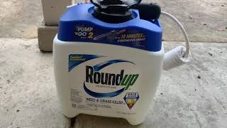 RoundUp Weed and Grass Killer Does It Work [upl. by Randy]