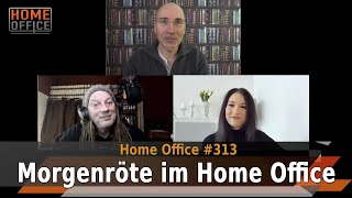 Home Office  313 [upl. by Kela]