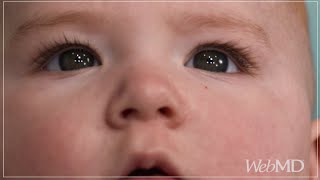 What Your Baby Sees  WebMD [upl. by Nealy]