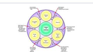 Chapter 24 asepsis and infection [upl. by Kushner]