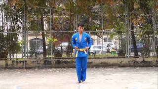 Nhập Môn Quyền  Vovinam Việt Võ Đạo [upl. by Normi]