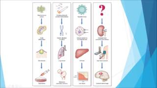 Pathology  Introduction and disease nomenclature [upl. by Knox514]