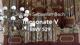 JS BACH ORGAN SONATA NO 5 IN C MAJOR BWV 529  GERBEN BUDDING [upl. by Giulia]