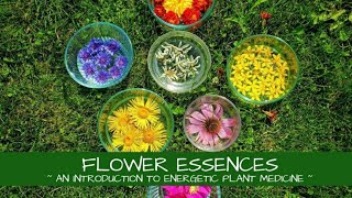 Flower Essences  An Introduction [upl. by Almita677]