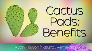 Cactus Leaf Benefits amp Uses Nopales [upl. by Eidnim]