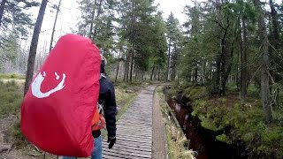 Wandern im Harz Harzer Hexenstieg  Von Osterode nach Thale [upl. by Opal]