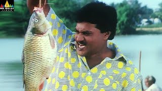 Sunil Best Comedy Scenes Back to Back  Telugu Movie Comedy  Vol 1  Sri Balaji Video [upl. by Celesta]