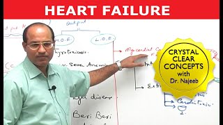 Heart Failure  Cardiac Pathology [upl. by Clerissa]