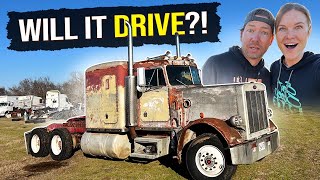 Will it DRIVE Our 1984 359 Peterbilt REVIVAL [upl. by Siravaj]