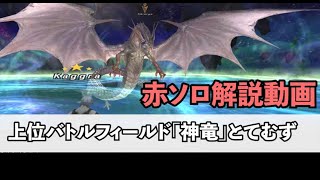 【解説】FF11 ★神竜 赤ソロ 装備紹介あり [upl. by Feldman]