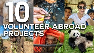 10 LIFE CHANGING VOLUNTEER ABROAD EXPERIENCES [upl. by Rizika435]