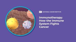 Immunotherapy How the Immune System Fights Cancer [upl. by Wandis125]