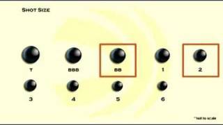 Choosing Shot Size [upl. by Navlys]
