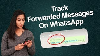 How Many Times Your Message Forwarded On WhatsApp Messenger  Whatsapp Forwarded Message Trick [upl. by Ahseekan]