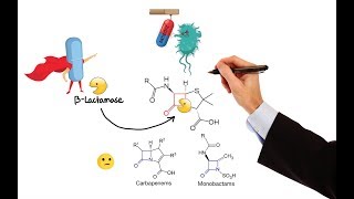 Pharmacology – ANTIBIOTICS – CELL WALL amp MEMBRANE INHIBITORS MADE EASY [upl. by Stav]