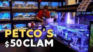 Buying a 50 Clam at PetCo [upl. by Alenas220]