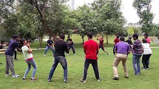 Toss the Ball  Synergy team building game [upl. by Namhcan]