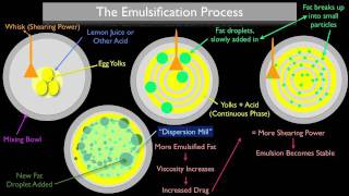 The Emulsification Process [upl. by Sirovart325]