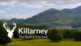 Visit Killarney  Official Destination Video [upl. by Schonfield]