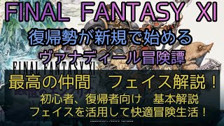 【FF11】最高の仲間 フェイス解説！初心者、復帰者向け 基本解説 [upl. by Aissirac]