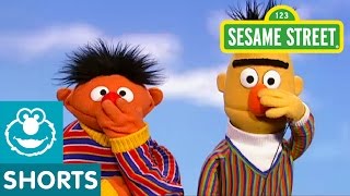 Sesame Street Bert and Ernie Play Touch Your Face [upl. by Ylrevaw724]