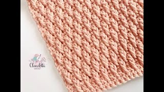 CROCHET ALPINE STITCH  BEGINNER [upl. by Anigriv842]