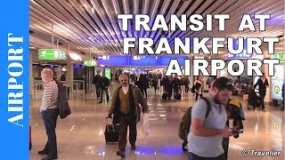 TRANSIT WALK AT FRANKFURT Airport FRA Terminal 1  Connection Flight Transfer Arriving amp Departing [upl. by Kermit569]