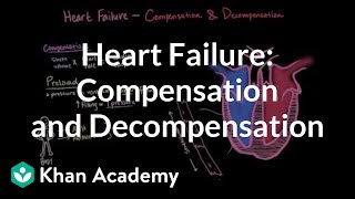 Compensation and decompensation in heart failure  NCLEXRN  Khan Academy [upl. by Barris]