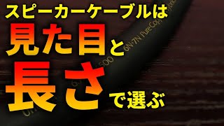 スピーカーケーブルで音が変わる理屈を完全に説明する [upl. by Okika]